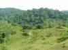 thumb_41_site03.jpg