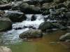 thumb_41_site19.jpg