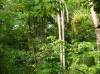 thumb_41_site22.jpg